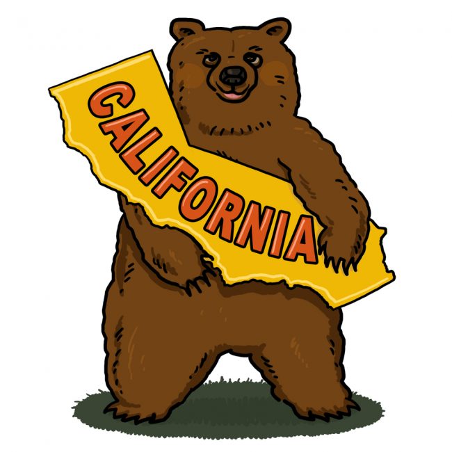 CalBear